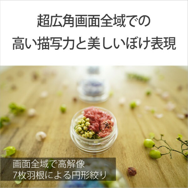 SONY ミラーレス用レンズ E 11F1.8