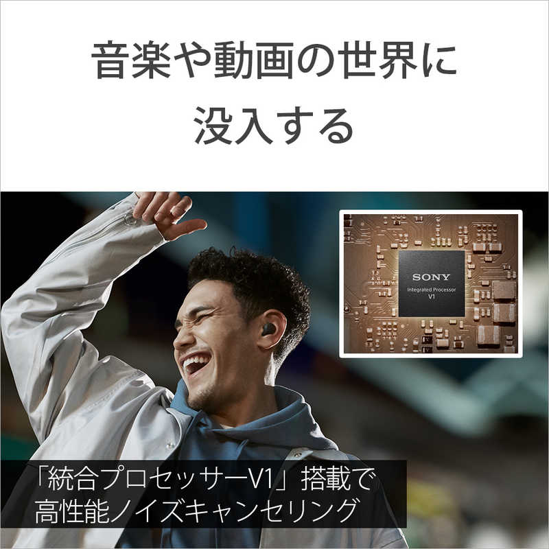 SONY フルワイヤレスイヤホン Linkbuds ブラック WF-LS900N(B)