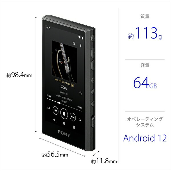 SONY Walkman NW-A307(B)