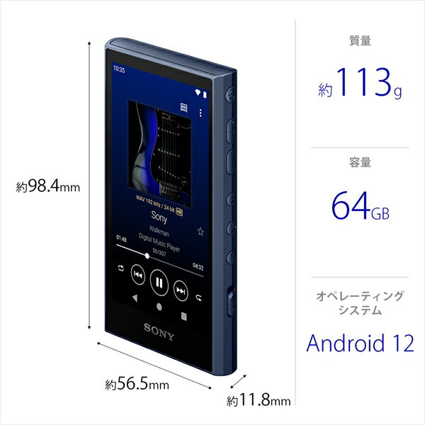 SONY ウォークマン NW-A307 L