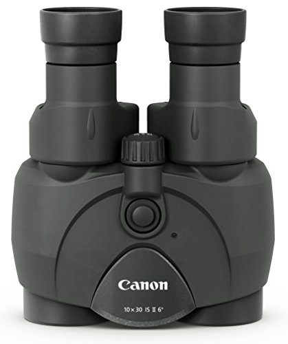Canon 双眼鏡 BINOCULARS  10X30 IS 2