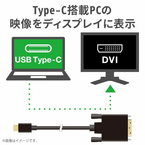 エレコム 変換ケーブル Type-C-DVI 1.0m ブラック CAC-CDVI10BK(1個)
