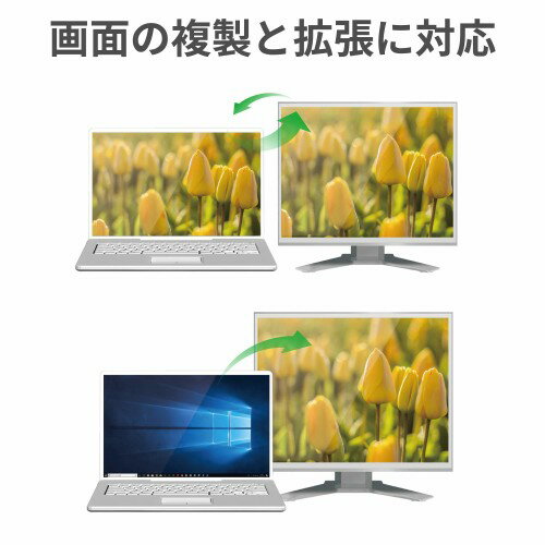 エレコム 変換ケーブル Type-C-DVI 1.0m ブラック CAC-CDVI10BK(1個)