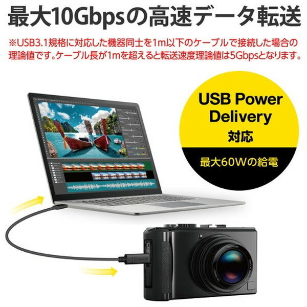 エレコム カメラケーブル Type-Cケーブル USBC-USBC USB3.1 50cm DGW-U3CC05NBK(1個)
