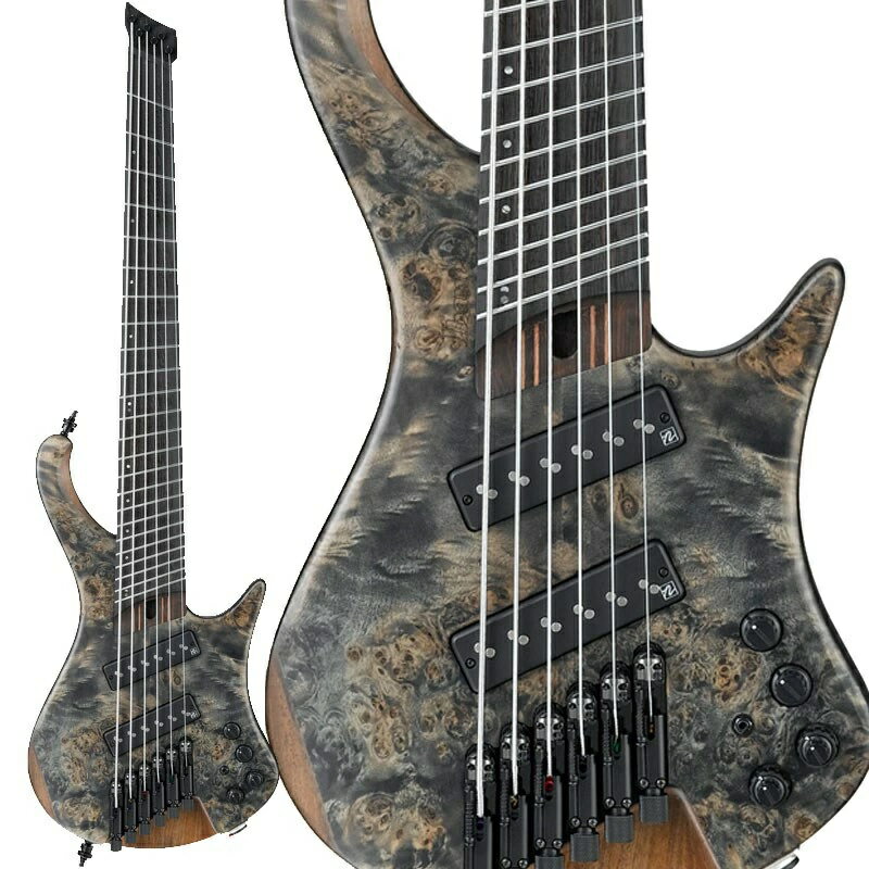 楽天市場】星野楽器 Bass Workshop EHB1506MS-BIF Ibanez | 価格比較 - 商品価格ナビ