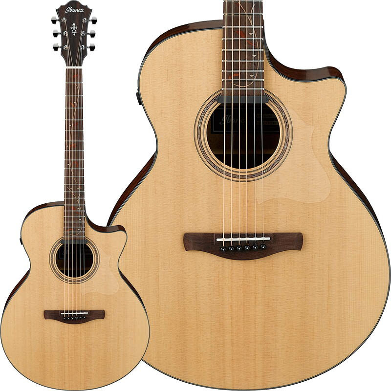 楽天市場】星野楽器 Ibanez アイバニーズ アコースティック