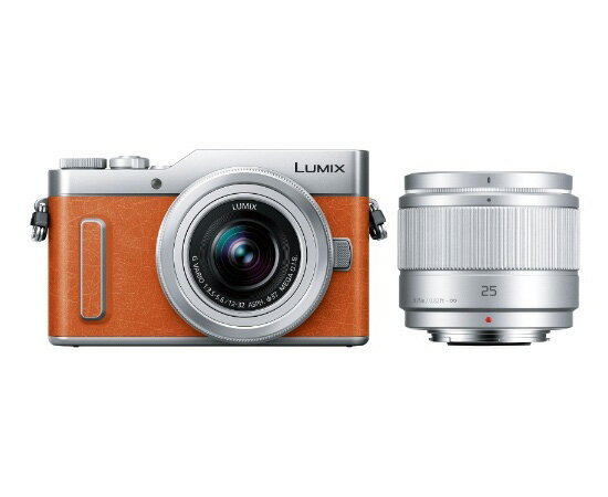 Panasonic  デジタルカメラ LUMIX DC-GF10 DC-GF10W-D