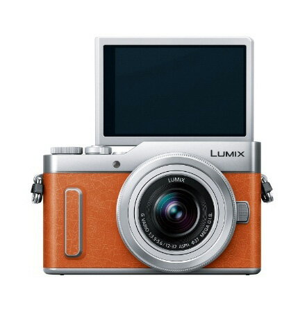 Panasonic  デジタルカメラ LUMIX DC-GF10 DC-GF10W-D