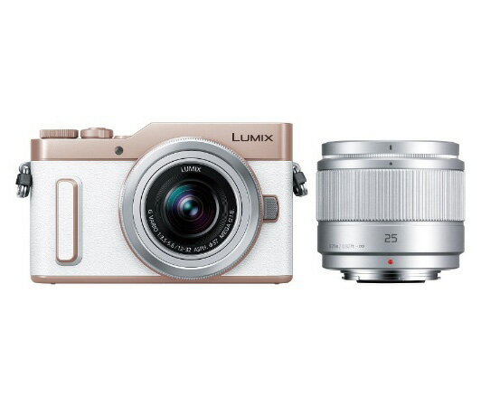 カメラ デジタルカメラ Panasonic デジタルカメラ LUMIX DC-GF10 DC-GF10W-W