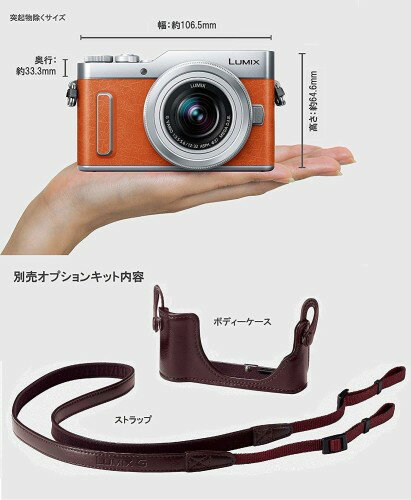 楽天市場】パナソニックオペレーショナルエクセレンス Panasonic LUMIX