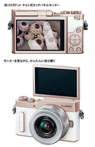 Firmware Dcs1r S   