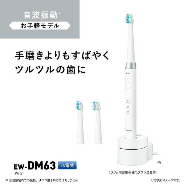 Panasonic 音波振動ハブラシ ドルツ EW-DM63-W