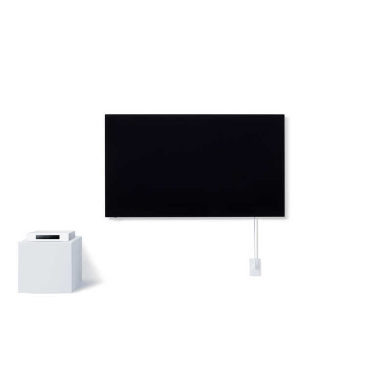 Panasonic 有機ELテレビ VIERA LW1 TH-55LW1L