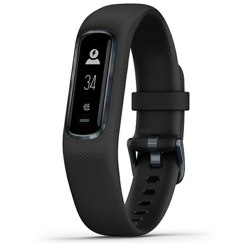 楽天市場】GARMIN VIVOSMART4 BLACK SLATE レギュラー | 価格