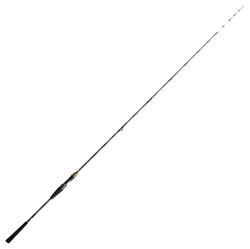 楽天市場】ダイワ 極鋭タチウオテンヤSP EX 91-170