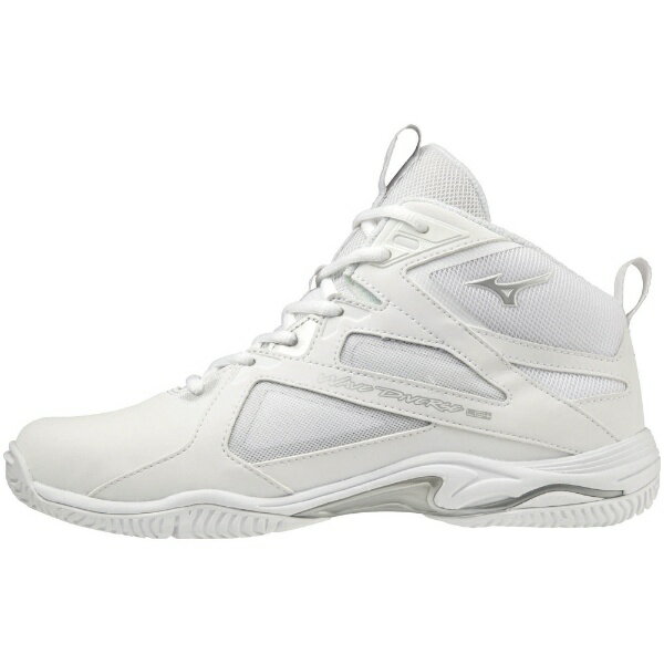 SteP SPcasual online / MIZUNO WAVE RIDER 10 D1GA243104