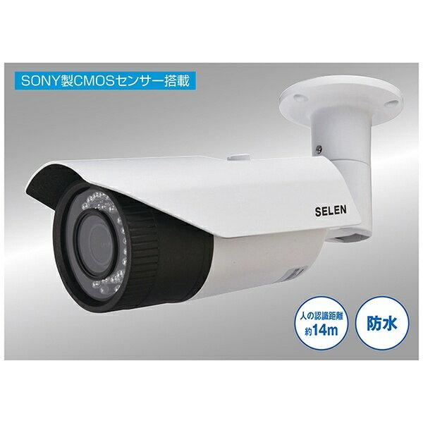 SELEN 赤外線投光器内蔵防水型AHDドームカメラ SAHG281