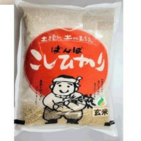 【楽天市場】ばんば ばんばさんのこしひかり 玄米 | 価格比較 - 商品価格ナビ