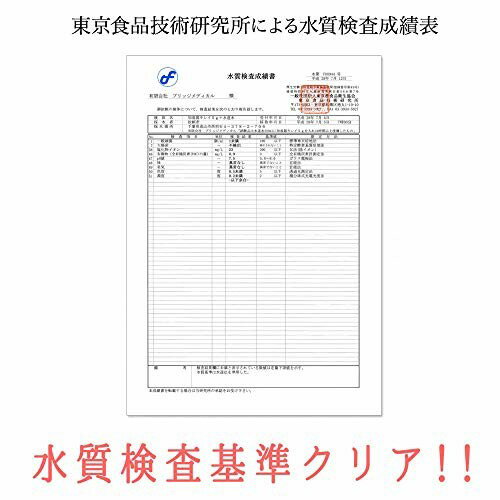 Ag+ 銀イオンパワー 「加湿器キレイ」加湿器のタンク内の雑菌の繁殖防止剤 - ブリッジメディカル