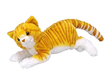 (未使用･未開封品)　トレンドマスター ぬいぐるみ なでなでシリーズ なでなでねこちゃん DX2 とらちゃん qdkdu57 Amazon.co.jp: トレンドマスター ぬいぐるみ なでなでシリーズ