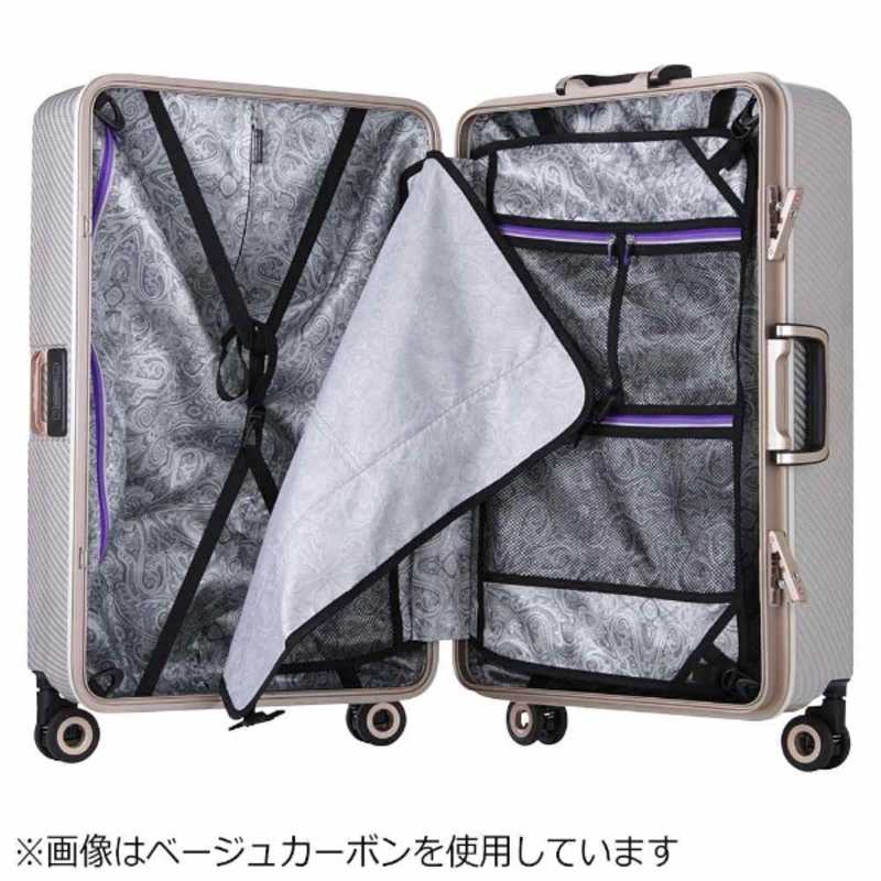 スーツケース キャリー バッグ 旅行 M サイズ