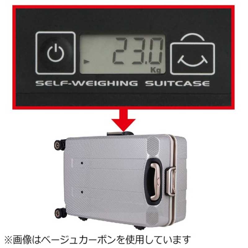 スーツケース キャリー バッグ 旅行 M サイズ