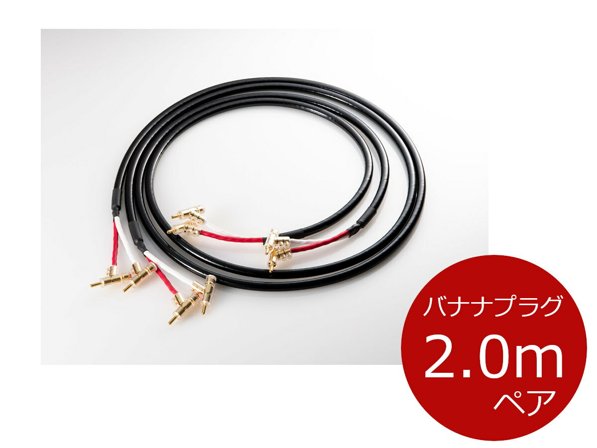 キンバーケーブル 12TC スピーカーケーブル 3.0mペア 【日本限定モデル