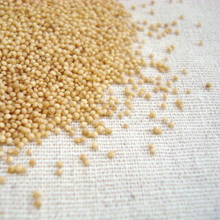 楽天市場】穀の蔵 国内産 アマランサス(150g) | 価格比較 - 商品価格ナビ