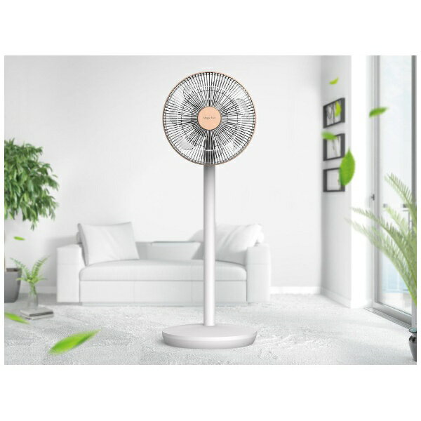Beautitec Magic Fan ホワイト*ローズゴールド F450(1台)
