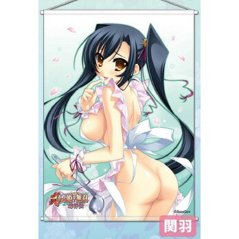 楽天市場 スカーレットキューブ 真 恋姫 無双 萌将伝 B2タペストリー 関羽 Cranberrycrown スカーレットキューブ 価格比較 商品価格ナビ