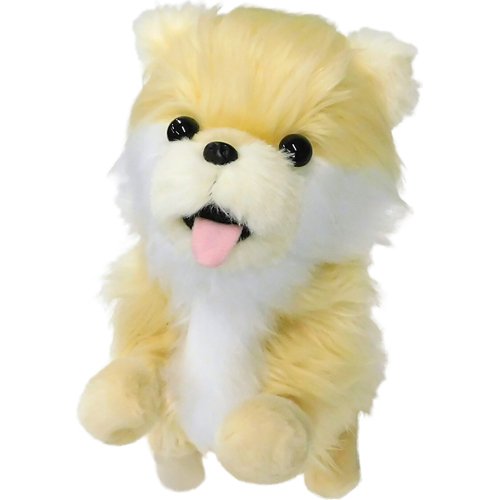 ココドル　踊るペット犬　プードル Amazon | 希少 レア ポメラニアン ココドル 踊るペット犬 喋って