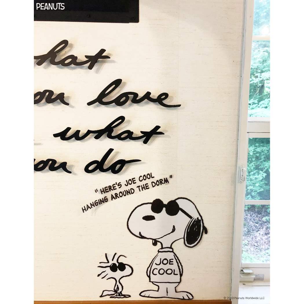 楽天市場 S Cコーポレーション S C 50cmウォールjoe Pwd21 価格比較 商品価格ナビ