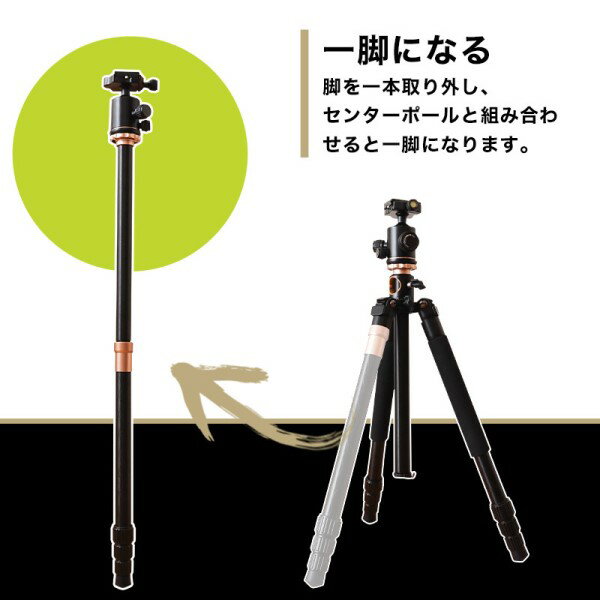 楽天市場】サンコー サンコー 一脚にもなる 俯瞰三脚 CTPBMPAP(1