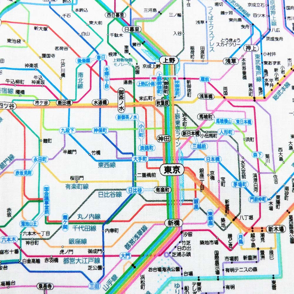 【楽天市場】東京カートグラフィック 東京カート 鉄道路線図クリアファイル 首都圏日本語 | 価格比較 - 商品価格ナビ