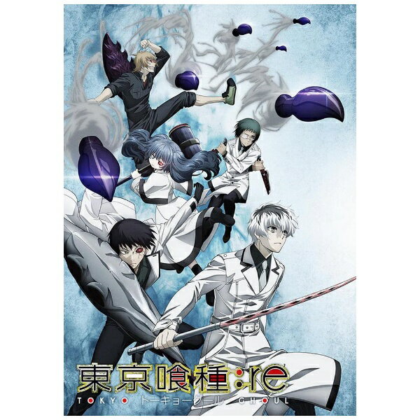 楽天市場 Tcエンタテインメント 東京喰種トーキョーグール Re Blu Ray Vol 5 ｂｌｕ ｒａｙ ｄｉｓｃ Tcbd 0746 価格比較 商品価格ナビ