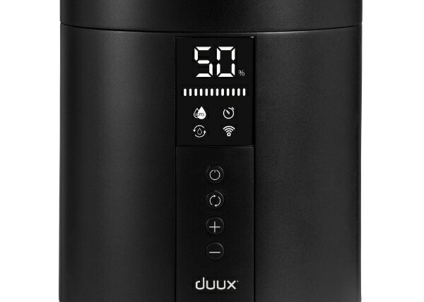 楽天市場】ツカモトコーポレーション duux｜デュクス Beam Mini