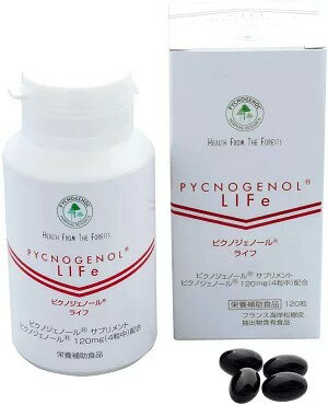 エレヴェ ピクノジェノールEX 120粒 51Yxoaw80OL.jpg_BO30,255,255,