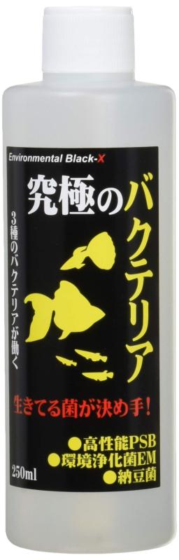 【楽天市場】B-blast B－blast 究極バクテリア 250ml 1800034 | 価格比較 - 商品価格ナビ