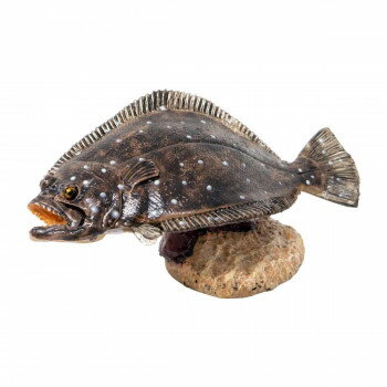 楽天市場 フェバリット フィギュア ヒラメ アクアフィッシュ ミニモデル フェバリット ジオラマ 魚釣り グッズ 価格比較 商品価格ナビ 楽天市場 フェバリット フィギュア ヒラメ アクアフィッシュ ミニモデル フェバリット ジオラマ 魚釣り グッズ 価格比較 商品価格ナビ