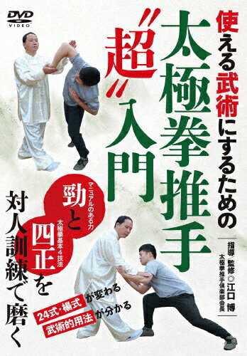 カラダの秘伝が使える姿勢の超常識武術の達人 成功者になる プランc Dvd Zkgmu Kz