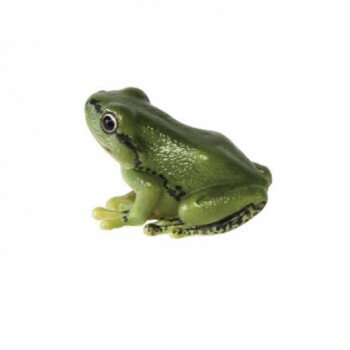 楽天市場 Magnet カエル 置物 マグネット Reptiles Mag アマガエル リアル 実物大 蛙 グッズ 価格比較 商品価格ナビ