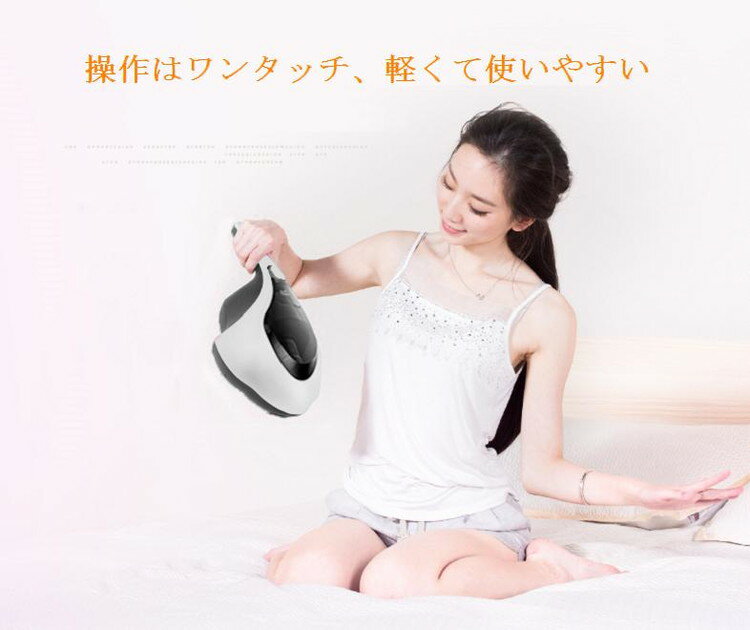 SOUYI JAPAN 温風ふとんクリーナー(1個)