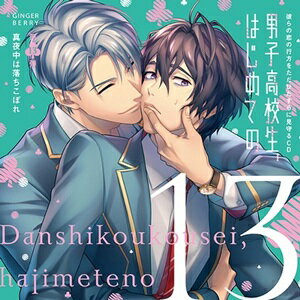 楽天市場 リブレ ドラマcd 嫌いでいさせて2 初回限定 描き下ろしマンガ小冊子セット ｃｄ Cel 109 価格比較 商品価格ナビ