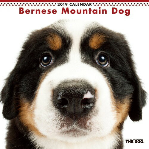 楽天市場 アーリスト The Dog 19年カレンダー バーニーズ マウンテン ドッグ 1コ入 価格比較 商品価格ナビ 楽天市場 アーリスト The Dog 19年カレンダー バーニーズ マウンテン ドッグ 1コ入 価格比較 商品価格ナビ