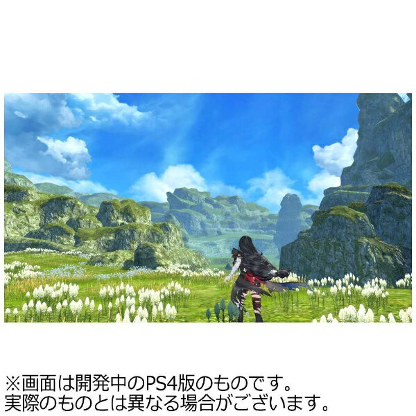 テイルズ オブ ベルセリア/PS4/PLJS70060/B 12才以上対象