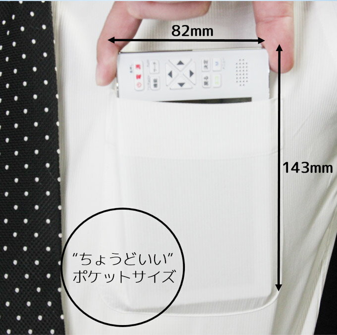 カイホウジャパン 5インチフルセグテレビ(1台)