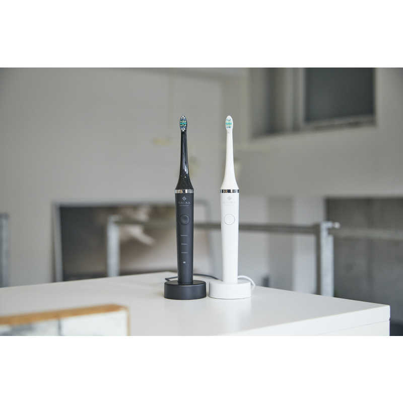 業務用 #ホワイトニング を家庭用の電動歯ブラシに#ガウラ『TEE