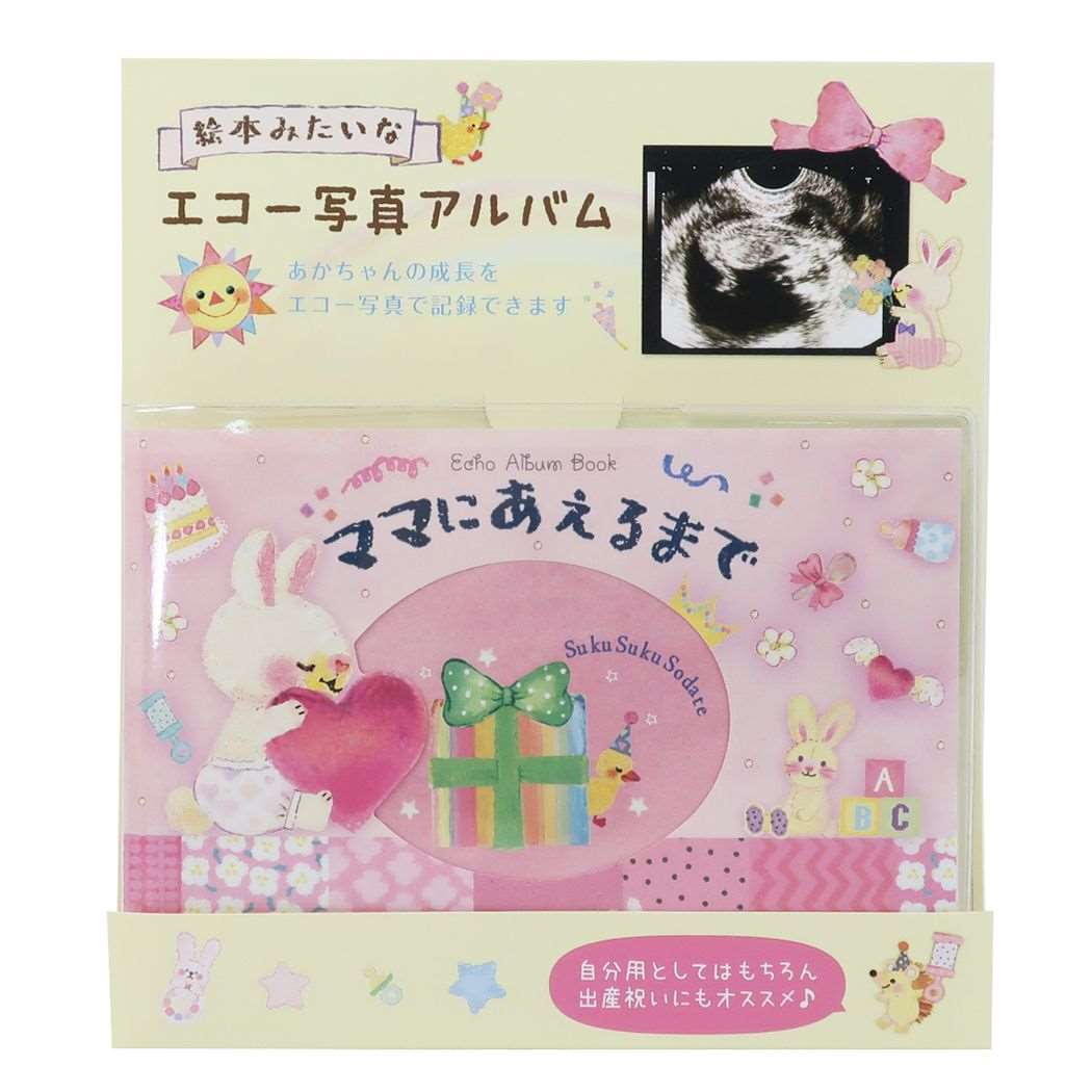 楽天市場 オリエンタルベリー エコー写真アルバム Ba 7621 価格比較 商品価格ナビ