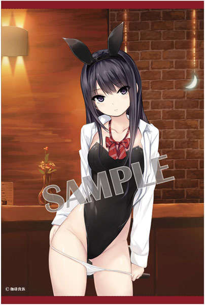 楽天市場 ブレンドリーム 珈琲貴族 B2タペストリー 白峰莉花バースデー ブレンドリーム 価格比較 商品価格ナビ