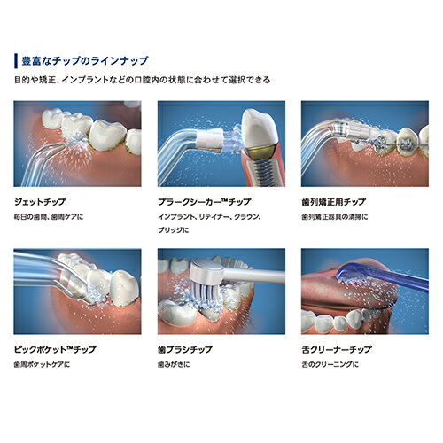 楽天市場】waterpik WF-03J010 | 価格比較 - 商品価格ナビ